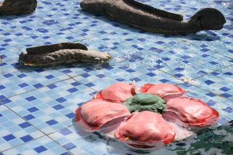 Flower statue in pond Stock Photos