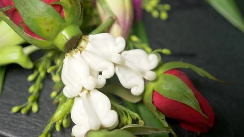 Flower steering on a black background. Thai culture concept, close up Stock-Footage 100278561