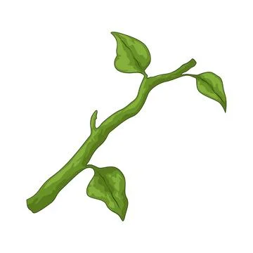 Flower stem illustration Stock Illustration