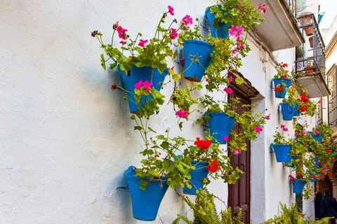Flower street in Cordoba Stock Photos