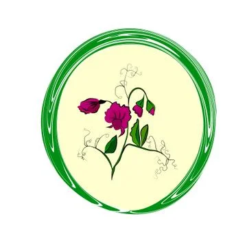 Flower sweet pea Illustrazione stock