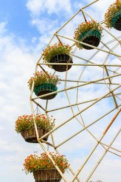 Flower swing Stock Photos