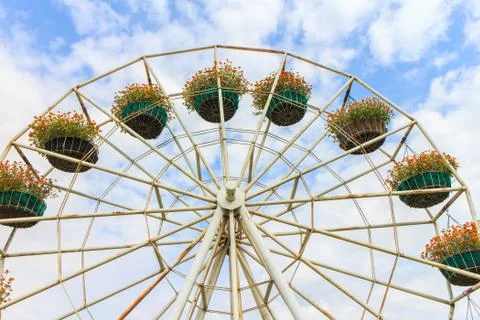 Flower swing Stock Photos