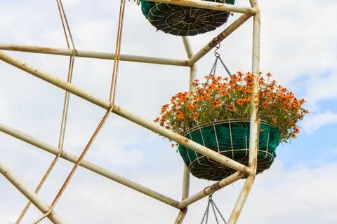 Flower swing Stock Photos
