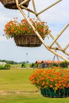 Flower swing Stock Photos