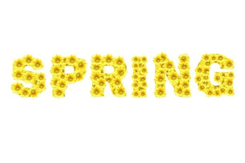 Flower symbol ,SPRING, isolate on white background Stock Photos