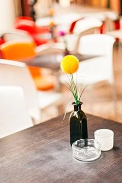 A flower on a table Foto stock