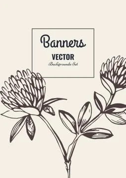 Flower template card. Stock Illustration