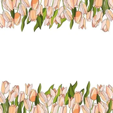 Flower template with tulips for design of invitations, cards, gift boxes. Stock Illustration