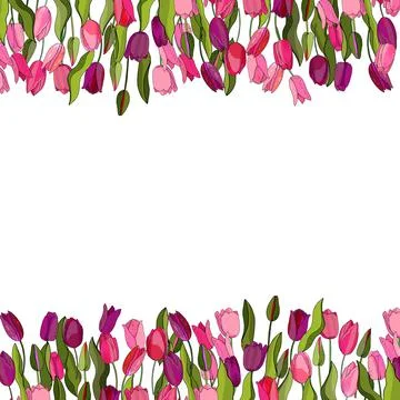 Flower template with tulips for design of invitations, cards, gift boxes. Stock Illustration