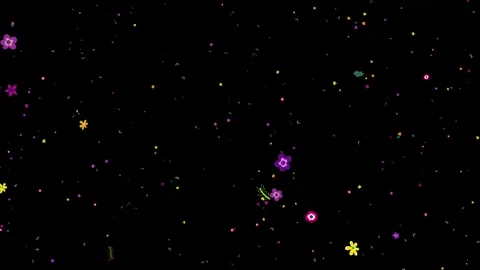 Flower text particle falling animation isolated on black background Vidéo 336888781