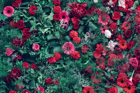 Flower texture background for wedding scene. Roses, peonies and hydrangeas Stock Photos