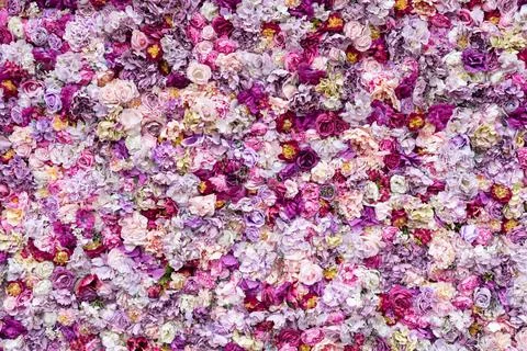 Flower texture background for wedding scene. Roses, peonies and hydrangeas, a Stock Photos