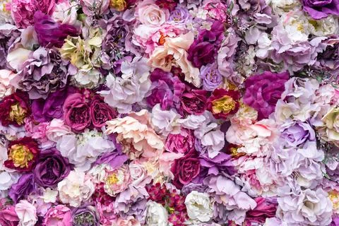 Flower texture background for wedding scene. Roses, peonies and hydrangeas, a Stock Photos