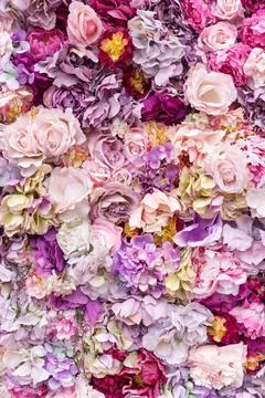 Flower texture background for wedding scene. Roses, peonies and hydrangeas, a Stock Photos