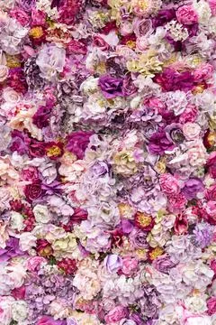 Flower texture background for wedding scene. Roses, peonies and hydrangeas, a Stock Photos