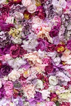 Flower texture background for wedding scene. Roses, peonies and hydrangeas, a Stock Photos
