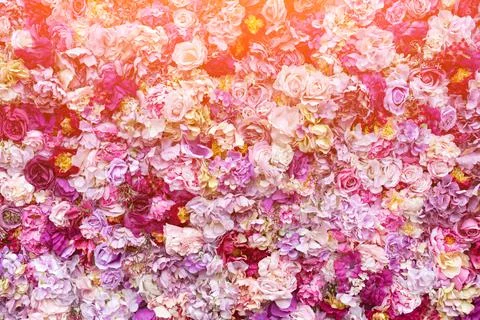 Flower texture background for wedding scene. Roses, peonies and hydrangeas, a Stock Photos