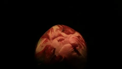 Flower Time-lapse - Hatching Monster Peony - 29,97FPS NTSC Video stock 70402259