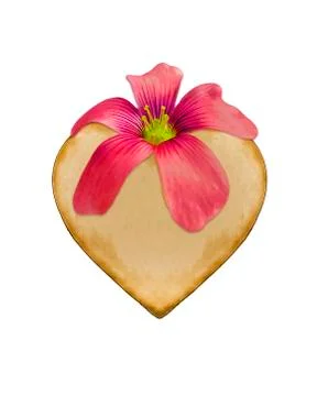 Flower at the Top of Heart Creative Collage Illustrazione stock