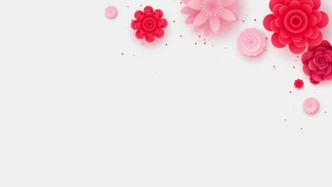 Flower top view on white background Stock Footage 243439178
