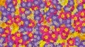 Flower transition plant petal bloom summer garden loop 4k 4k or 4k+ Resolution