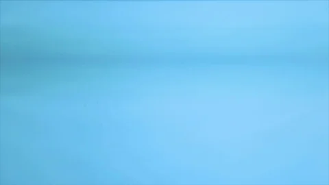 Flower in transparent water on a blue background Stock-Footage 83873409