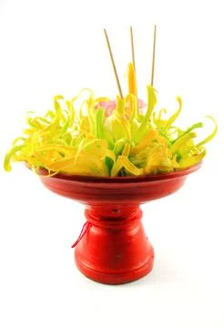 Flower on tray Stock Photos