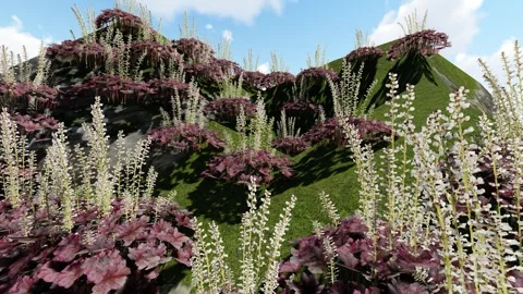 Flower Tree in the Hill Stock Footage 337298351