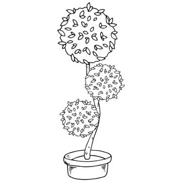 Flower tree in a pot. Home plant. Vector illustration of a home flower tree i Stock-Illustration