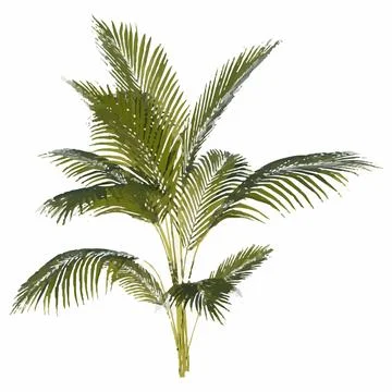 Flower Tree White Background 3D Rendering Ilustracion. Stock-Illustration