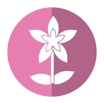 Flower tropical exotic shadow Illustration