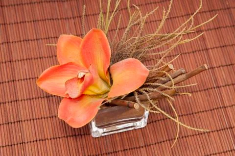 Flower in a vase 写真素材