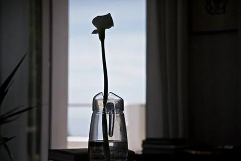 Flower, vase Stock Photos