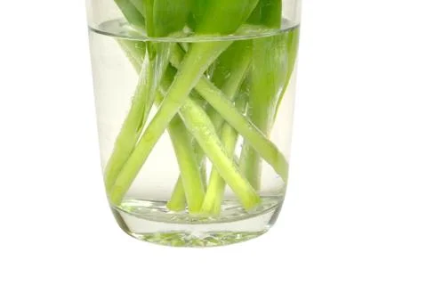 Flower vase Stock Photos