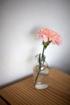 Flower in a vase Stock Photos