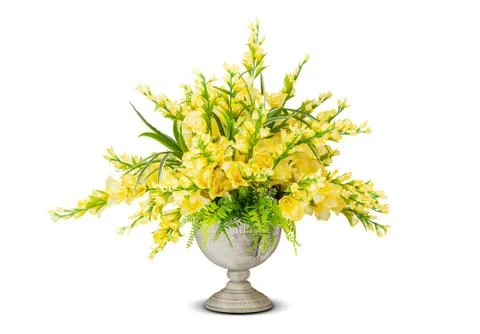 Flower in vase Stock Photos
