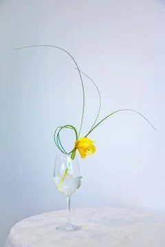 Flower in vase 스톡 사진