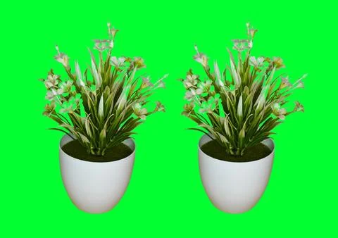 Flower vase Stock Photos