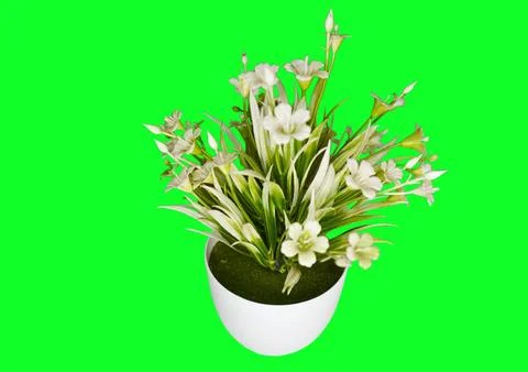 Flower vase Stock Photos