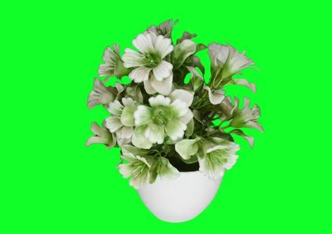 Flower vase Stock Photos
