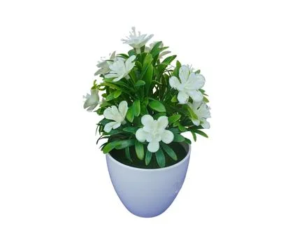 Flower vase Stock Photos