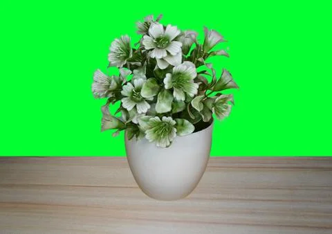 Flower vase Foto stock