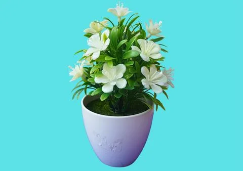 Flower vase Stock Photos