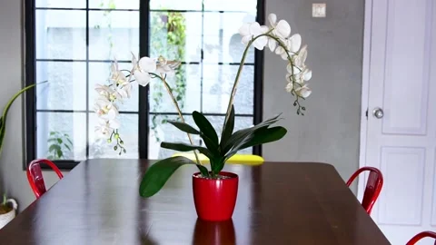 Flower vase on table at dining room Vídeos de archivo 201178026