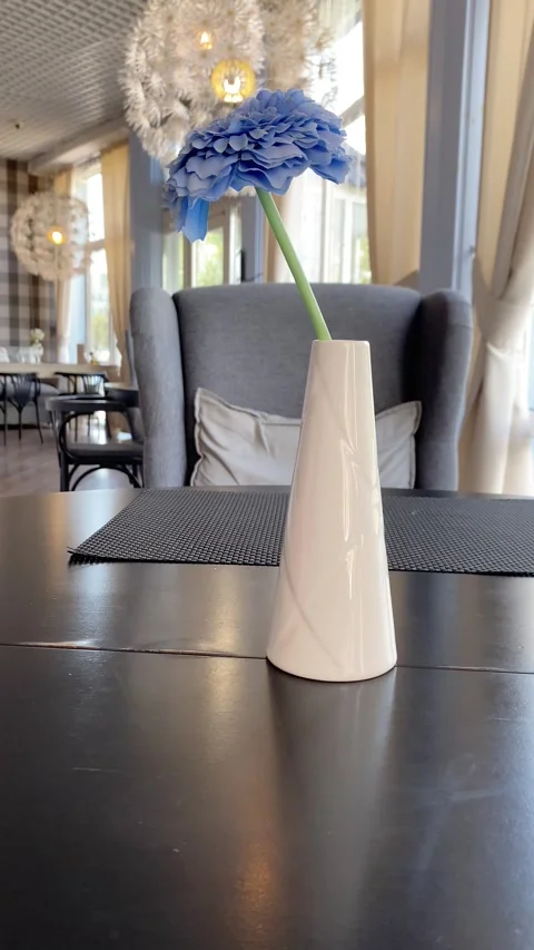 A flower in a vase. Vertical video Stock-Footage 281512968