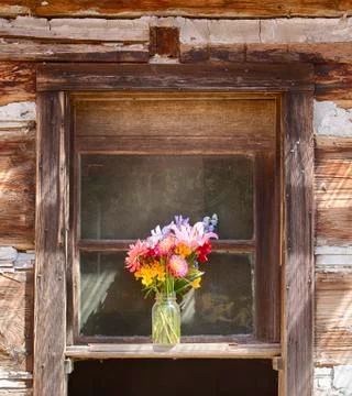 Flower Vase In Window Stock Photos