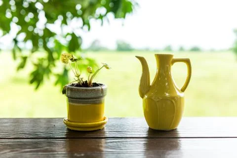 Flower vases and pots yellow on the table a background nature Stock Photos