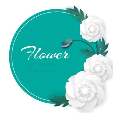 Flower vector background with circle and white peony flowers Stock Illustration