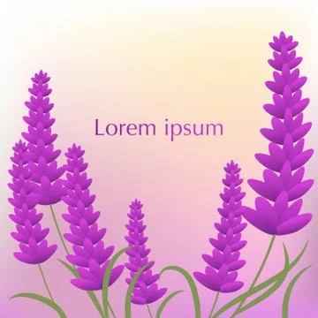 Flower vector.. Stock Illustration